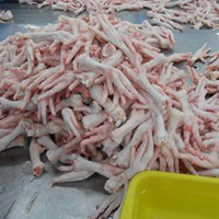 Frozen-Chicken-Feet