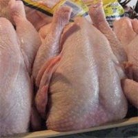 Frozen-Whole-Chicken