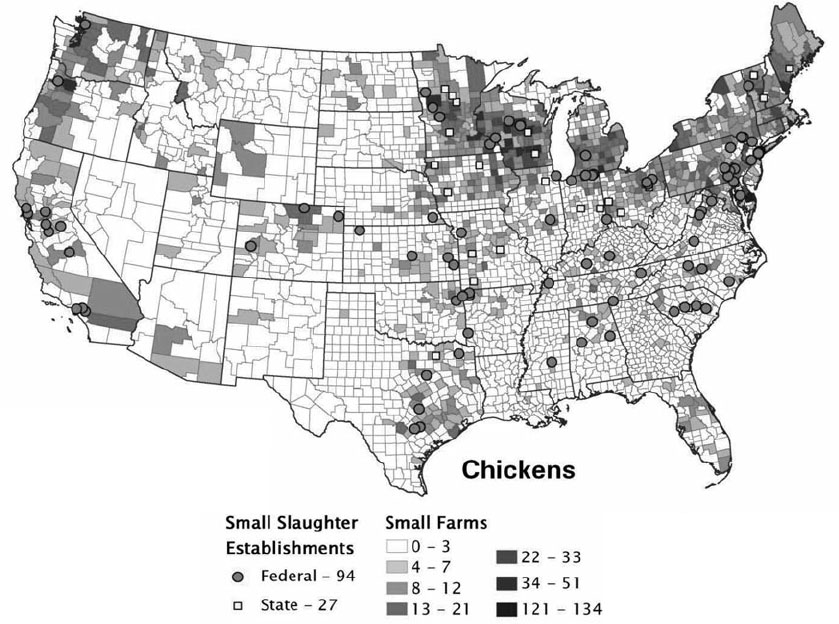 chicken-slaughtherhouses