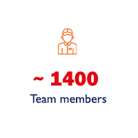 team members
